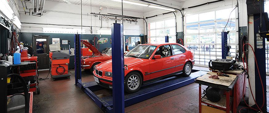 A red car on a lift in one of the shop's service bays, with a dog sitting in the front seat and a second red car with its hood up behind it